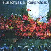 Everything Begins And Ends At Exactly The Right Time by Bluebottle Kiss