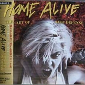 Home Alive: The Art Of Self Defense (Volume II)