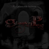 For A Glance Of The Lost Lenor