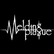 melding plague