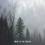 Salt of the Earth