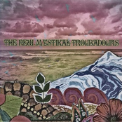 The New Mystikal Troubadours