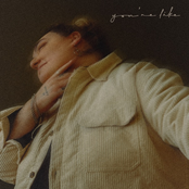 Jamie Fine: you're like