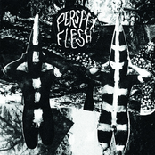PERSPEX FLESH