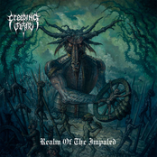 Realm of the Impaled [Album]