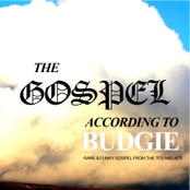 The Gospel According To Budgie: Rare & Funky Gospel From The 70's And 80's
