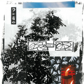 For the Birds - Single