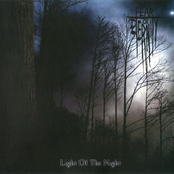 Light of the Night