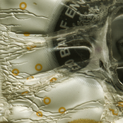 Repr.pn Store (10-17)