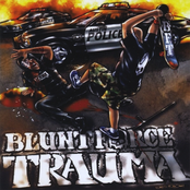 Retaliatory Strike by Blunt Force Trauma