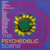 The Psychedelic Scene