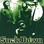 What's A Fake What's A True