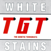 White Stains