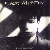 This Is Serious by Eric Martin