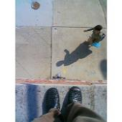 Excerpts From THE BLUE-COLLAR DIARIES