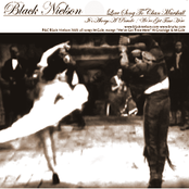 Love Song To Chan Marshall (Single)