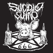Suicídio Suíno