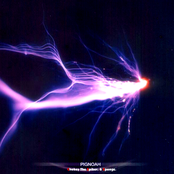 Chokey, The Spiker & Sponge