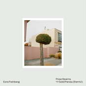 Ezra Feinberg: Pose Beams (Gold Panda Remix)