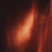 When The Lights Are Dim