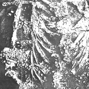 Complete Sensory Deprivation