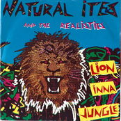 Lion Inna Jungle