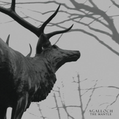 In The Shadow Of Our Pale Companion by Agalloch