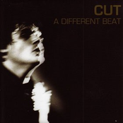 Straight From The Retting Ground by Cut