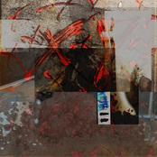 Concrete Forest and the Birth of Stress