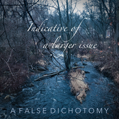 Indicative of a Larger Issue