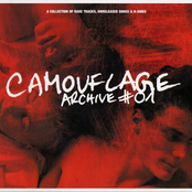 In Cold Blood by Camouflage