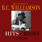 Hits and Misses: The Very Best Of B.C Williamson (Sampler)