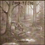 Die Klage Des Windes by Forest Of Fog