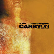 Roll With The Punches by Carry On