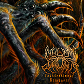 Inattentional Blindness