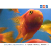 Hi-Fidelity House Imprint, Vol. 3
