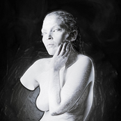 sarasara - W o n d e r l a n d