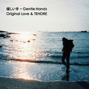 Gentle Hands - Single
