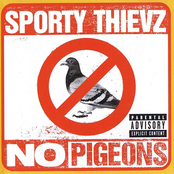 No Pigeons