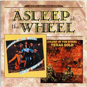 Trouble In Mind by Asleep At The Wheel
