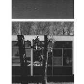 Sounds From Pale Prairies
