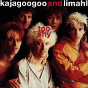 Too Shy - The Singles...And More