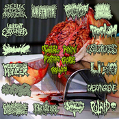 Total Raw Patho Gore Grind - 16 Way Split