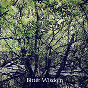 Bitter Wisdom