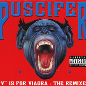 Momma Sed (tandimonium Mix) by Puscifer