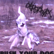 Push Your Dog! [EP]