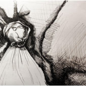 Jose Hernandez: Glory