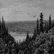 Journeying Through The Summerlands