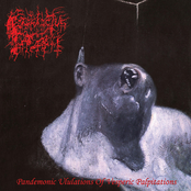 Pandemonic Ululations of Vesperic Palpitations