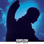 Godflesh: Post Self